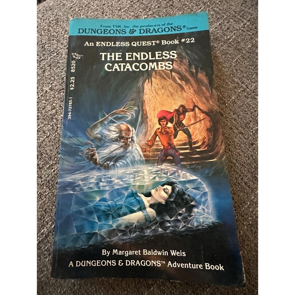 1984 Dungeons & Dragons An Endless Quest Book 22